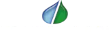 Traidenis